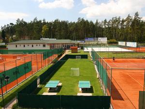 Pronájem bytu 1+kk, Zruč-Senec - Zruč, Sportovní, 40 m2