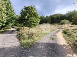 Prodej pozemku pro bydlení, Písek - Budějovické Předměstí, 5935 m2