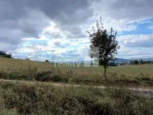 Prodej pozemku pro bydlení, Písek - Budějovické Předměstí, 5935 m2