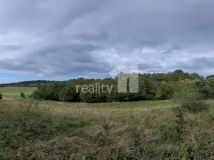 Prodej pozemku pro bydlení, Písek - Budějovické Předměstí, 5935 m2
