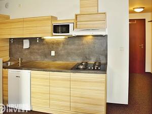 Prodej apartmánu, Černý Důl, 53 m2