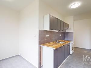 Pronájem bytu 1+1, Bechyně, Libušina, 42 m2