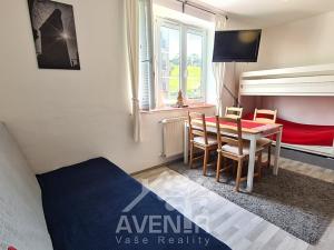 Pronájem bytu 1+kk, Rokytnice nad Jizerou, 32 m2