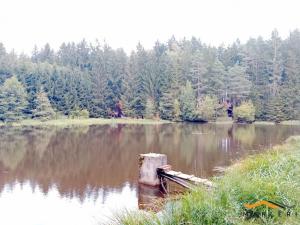 Prodej zemědělského objektu, Horní Radouň - Starý Bozděchov, 2600 m2