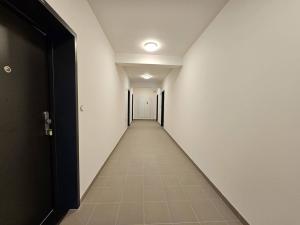 Pronájem bytu 1+kk, Plzeň, Goldscheiderova, 30 m2