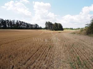 Prodej zemědělské půdy, Praha - Řeporyje, Koterovská, 35606 m2