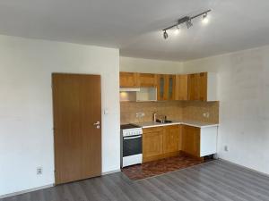 Prodej bytu 1+kk, Šestajovice, Komenského, 32 m2