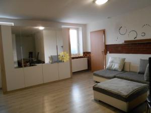 Pronájem bytu 1+kk, Hradec Králové, Bohdanečská, 35 m2