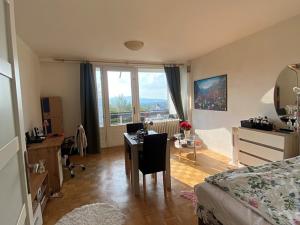 Pronájem bytu 1+kk, Liberec, Sosnová, 29 m2