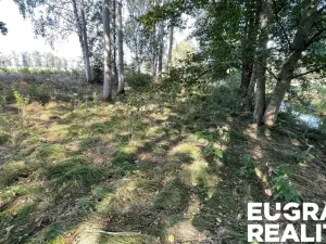 Prodej trvalého travního porostu, Šluknov, 14798 m2