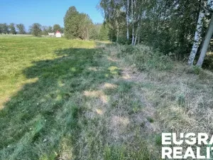 Prodej trvalého travního porostu, Šluknov, 14798 m2