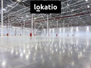 Pronájem skladu, Hladké Životice, 4000 m2