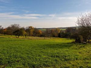 Prodej rodinného domu, Slabce - Skupá, 500 m2
