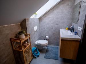 Prodej rodinného domu, Jirkov, Ke Koupališti, 220 m2