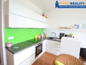 Pronájem bytu 1+kk, Beroun, V Zahradách, 32 m2