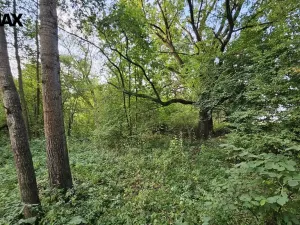 Prodej zahrady, Roudné, 2997 m2