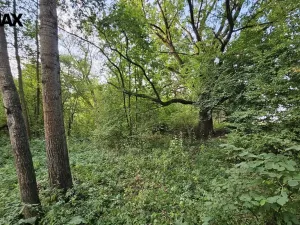 Prodej zahrady, Roudné, 2997 m2