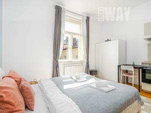 Prodej bytu 1+kk, Praha - Vinohrady, Španělská, 24 m2