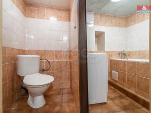 Prodej chaty, Nezabudice, 48 m2