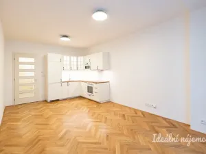 Pronájem bytu 1+kk, Praha - Žižkov, Sudoměřská, 33 m2