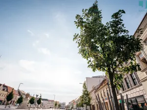 Pronájem bytu 2+kk, Třebíč, Karlovo nám., 60 m2