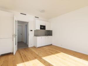 Pronájem bytu 1+kk, Praha - Strašnice, Ramonova, 28 m2