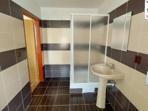 Prodej činžovního domu, Františkovy Lázně - Dolní Lomany, Americká, 313 m2