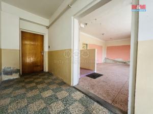 Prodej obchodního prostoru, Ostrožská Nová Ves, Lhotská, 160 m2