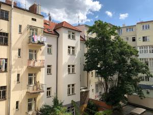 Pronájem bytu 2+kk, Praha - Nové Město, Ječná, 45 m2