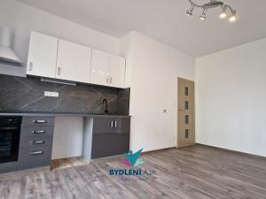 Pronájem bytu 1+kk, Teplice, Libušina, 22 m2