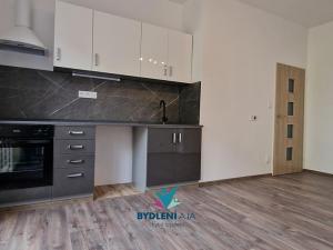 Pronájem bytu 1+kk, Teplice, Libušina, 22 m2