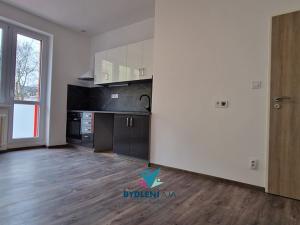 Pronájem bytu 1+kk, Teplice, Libušina, 22 m2