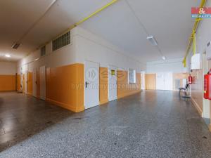 Prodej komerční nemovitosti, Sokolov, Marie Majerové, 180 m2