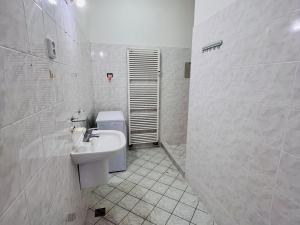 Pronájem bytu 3+kk, Teplice, Brožíkova, 73 m2