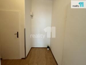 Pronájem bytu 1+1, Praha - Žižkov, Biskupcova, 43 m2
