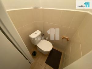 Pronájem bytu 1+1, Praha - Žižkov, Biskupcova, 43 m2