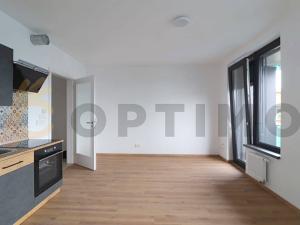 Pronájem bytu 1+kk, Praha - Žižkov, Olgy Havlové, 32 m2