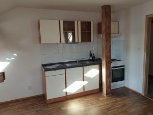 Pronájem bytu 1+kk, Ústí nad Labem, Londýnská, 43 m2