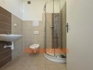Pronájem bytu 1+kk, Karviná - Nové Město, Fibichova, 31 m2