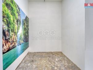 Pronájem obchodního prostoru, Plzeň - Bolevec, Sokolovská, 310 m2