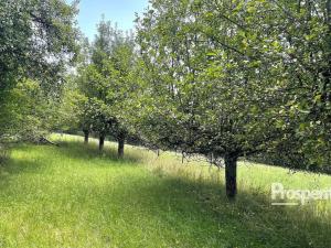 Prodej trvalého travního porostu, Svijanský Újezd, 8064 m2