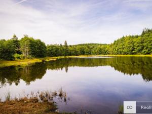 Prodej pozemku pro bydlení, Člunek - Kunějov, 14074 m2