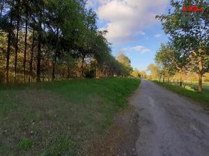 Prodej pozemku pro komerční výstavbu, Olešná, 785 m2