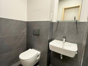 Pronájem bytu 2+kk, Plzeň, Kotkova, 44 m2