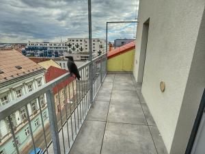 Pronájem bytu 2+kk, Plzeň, Kotkova, 46 m2