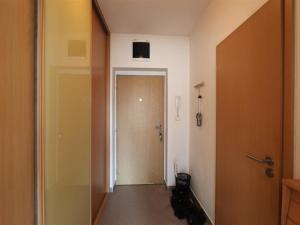 Pronájem bytu 1+kk, Brno, Dusíkova, 42 m2