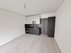 Pronájem bytu 1+kk, Brno, Trnitá, 26 m2