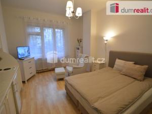 Pronájem bytu 1+kk, Praha - Vinohrady, Vinohradská, 30 m2