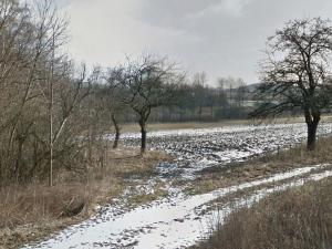 Prodej pozemku, Čáslavice, 1049 m2