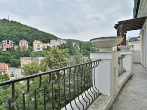 Prodej bytu 6+kk, Karlovy Vary, Zámecký vrch, 225 m2